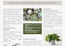 write authentic parenting blogs backed by experience
